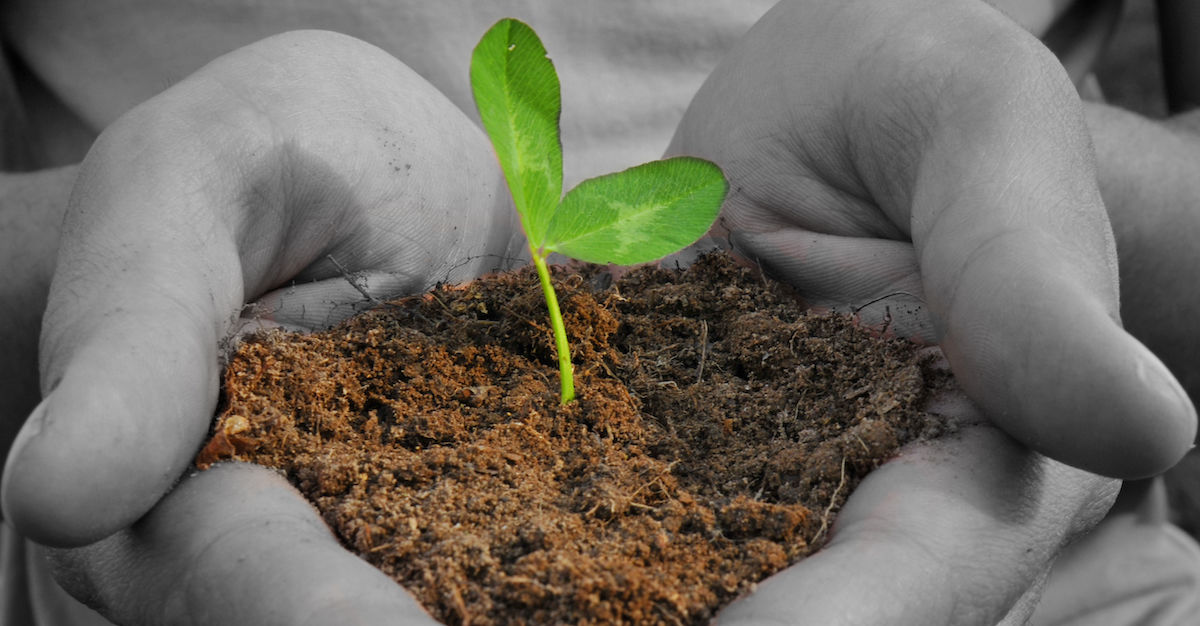 Earth Month